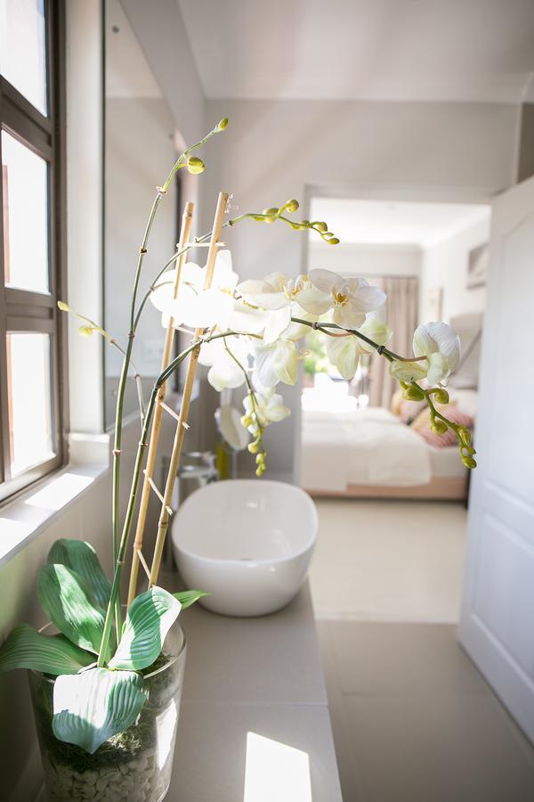 Christofphs Bed & Breakfast Bonnievale Bagian luar foto